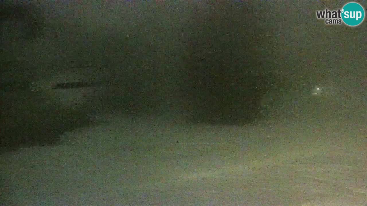 Estaciones de esquí Maribor Pohorje en vivo Ruška