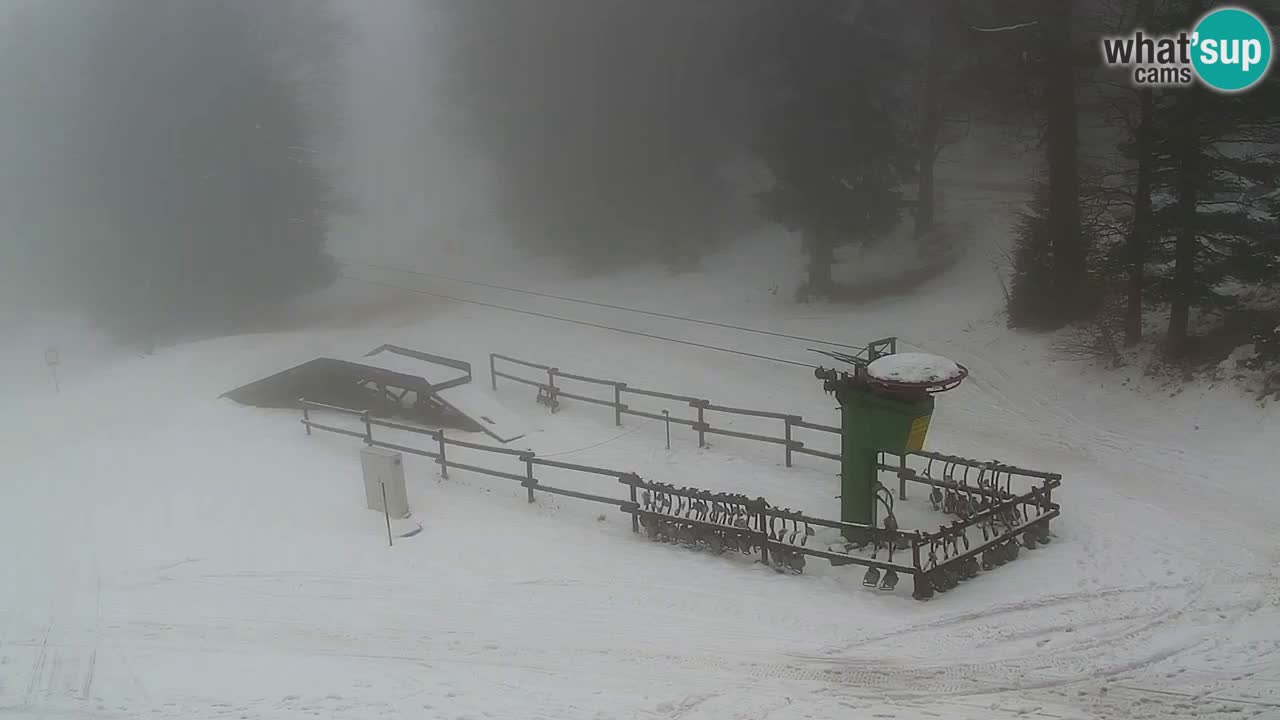 Estaciones de esquí Maribor Pohorje en vivo Ruška