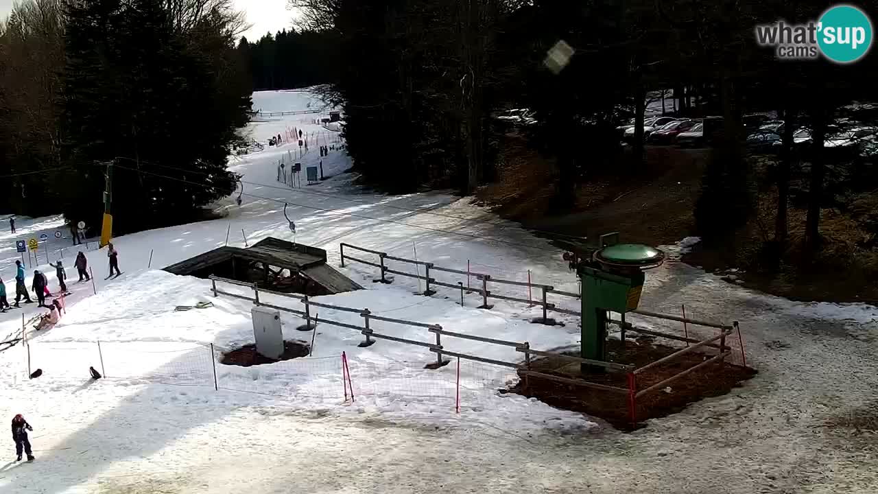 Smučišče Mariborsko Pohorje – spletna kamera Ruška zgoraj