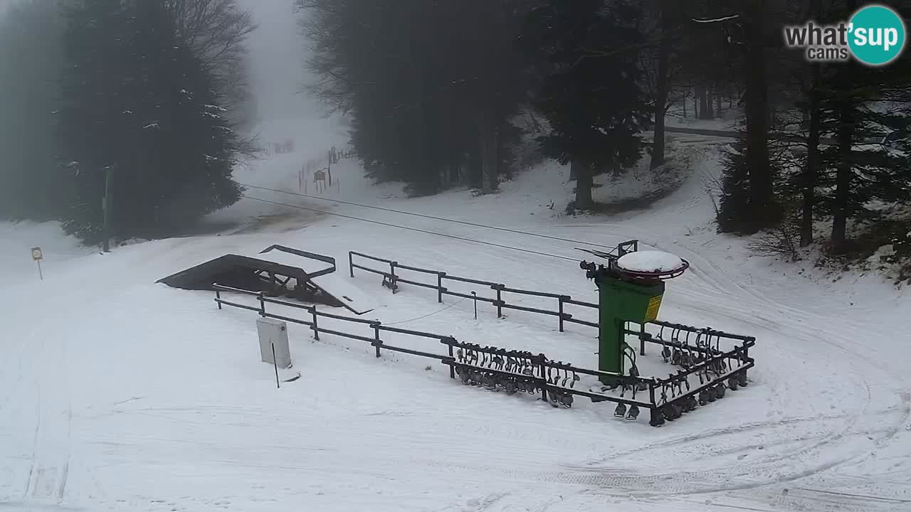 Smučišče Mariborsko Pohorje – spletna kamera Ruška zgoraj