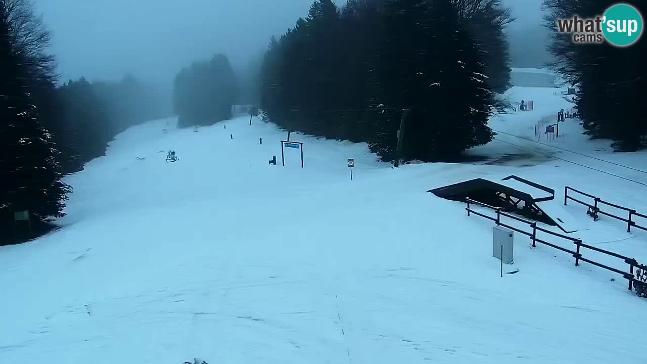 Smučišče Mariborsko Pohorje – spletna kamera Ruška zgoraj