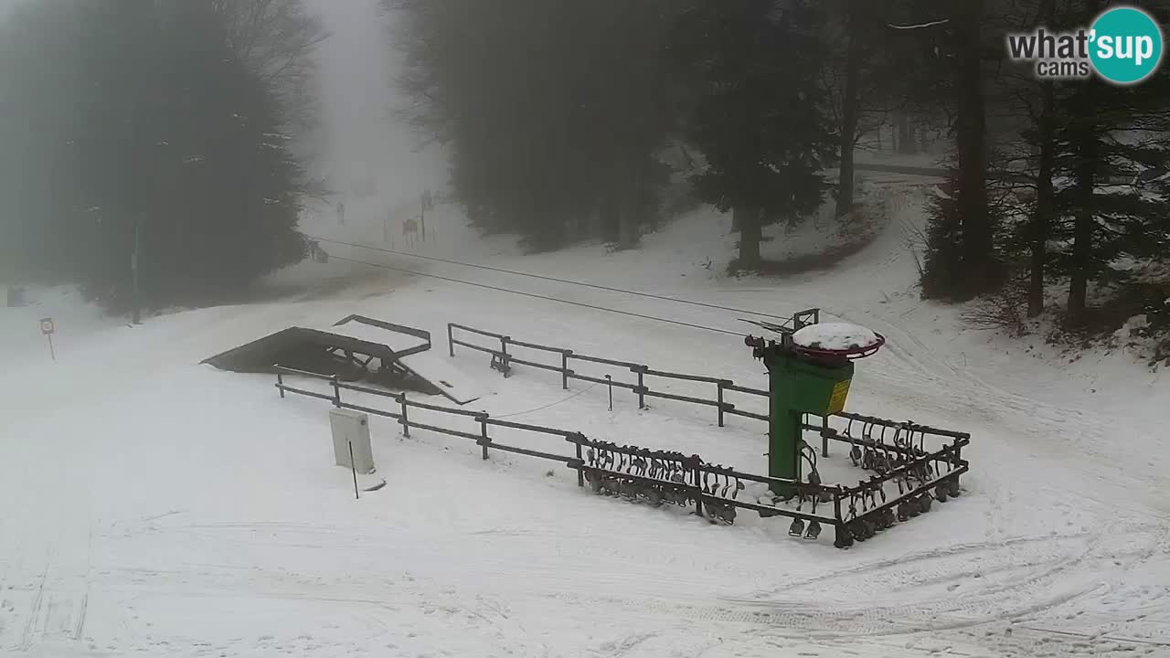 Stations de ski Maribor Pohorje web cam Ruška