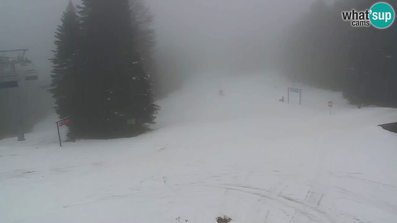 Stations de ski Maribor Pohorje web cam Ruška