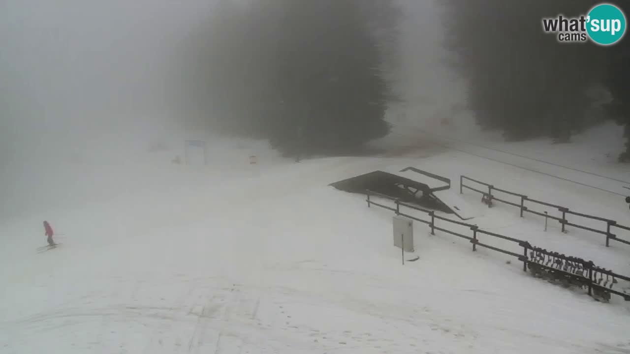 Estaciones de esquí Maribor Pohorje en vivo Ruška