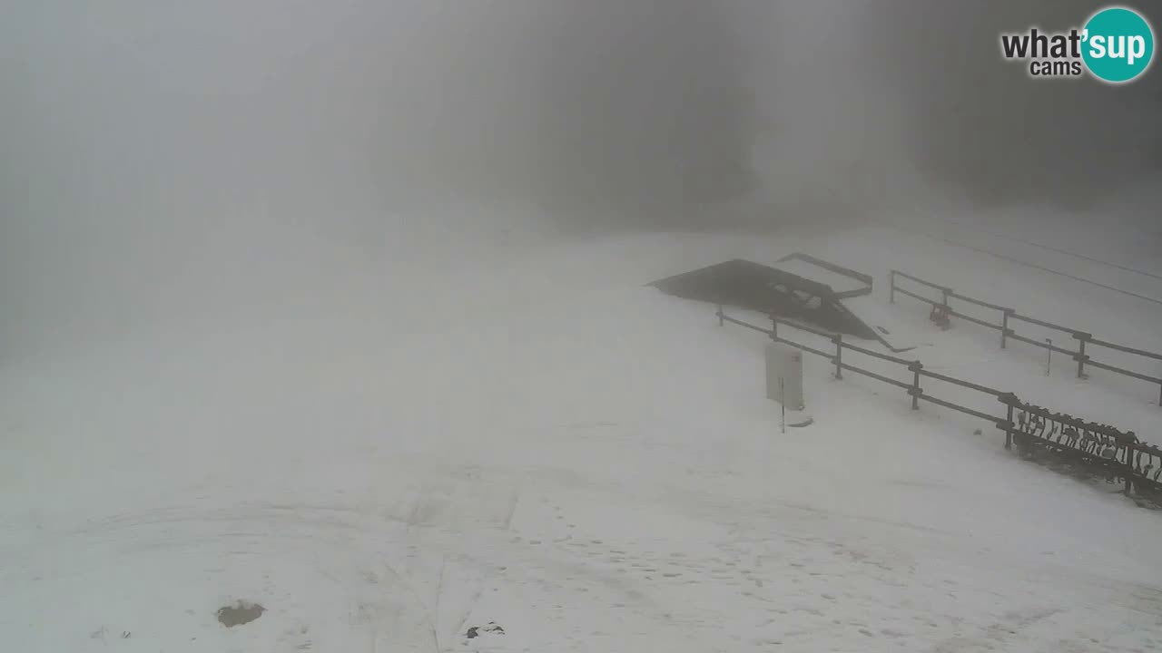 Estaciones de esquí Maribor Pohorje en vivo Ruška