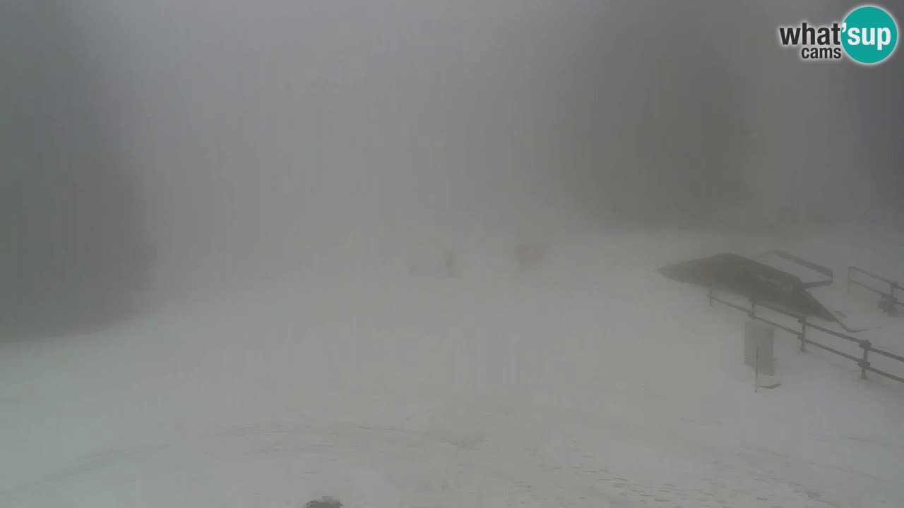 Stations de ski Maribor Pohorje web cam Ruška