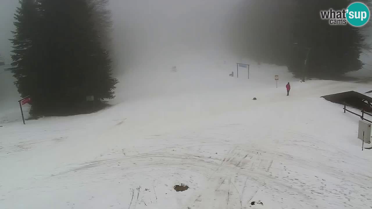 Estaciones de esquí Maribor Pohorje en vivo Ruška