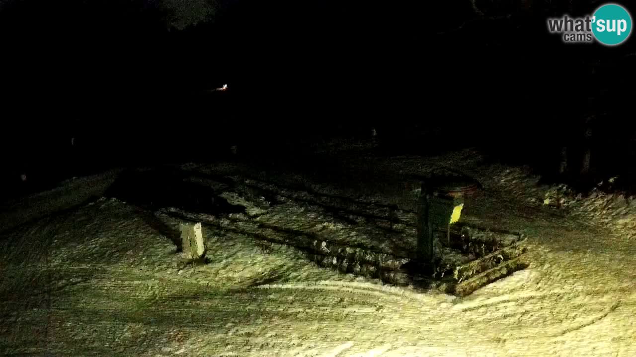 Stazione sciistica Maribor Pohorje – Ruška livecam