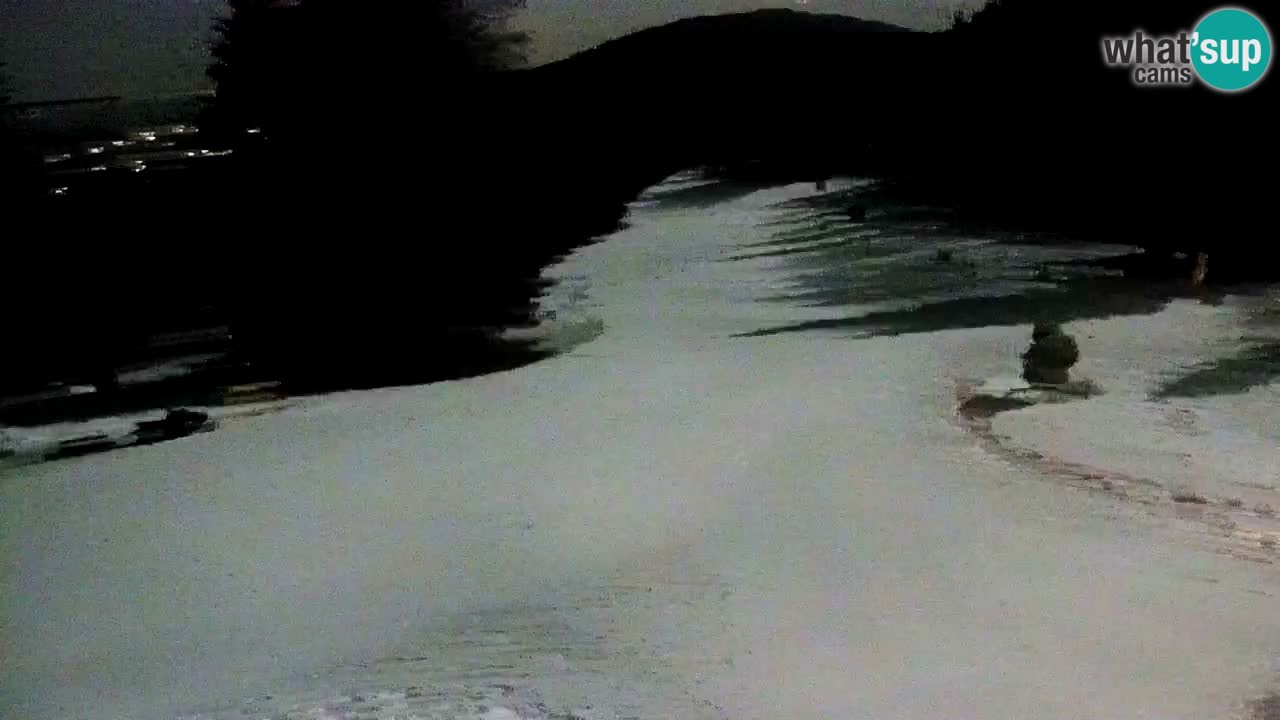 Estaciones de esquí Maribor Pohorje en vivo Ruška