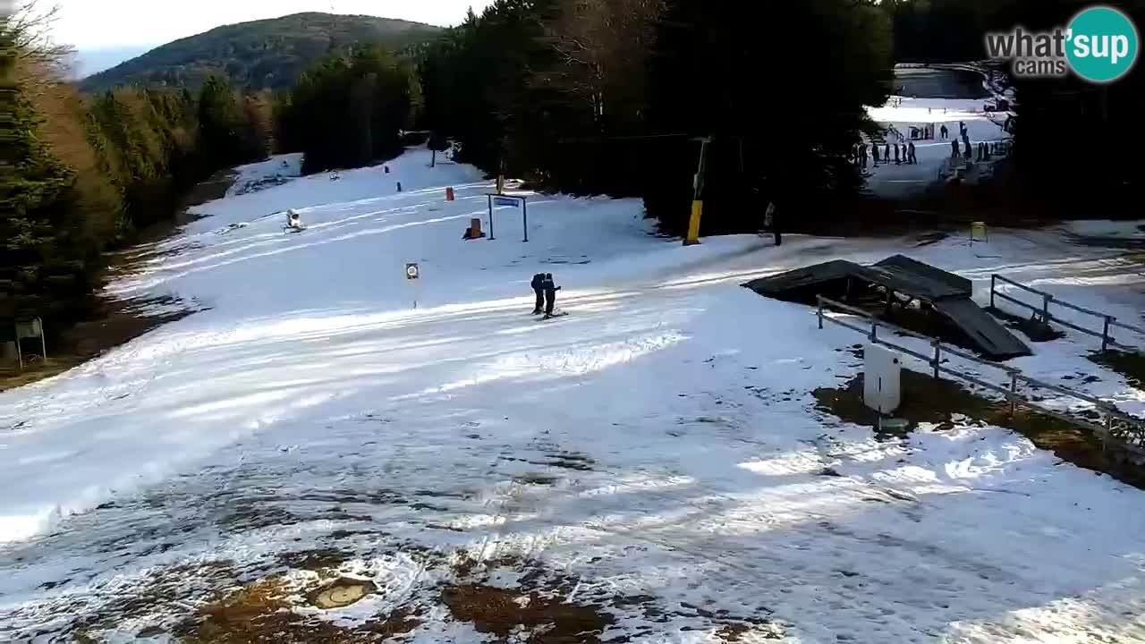 Estaciones de esquí Maribor Pohorje en vivo Ruška