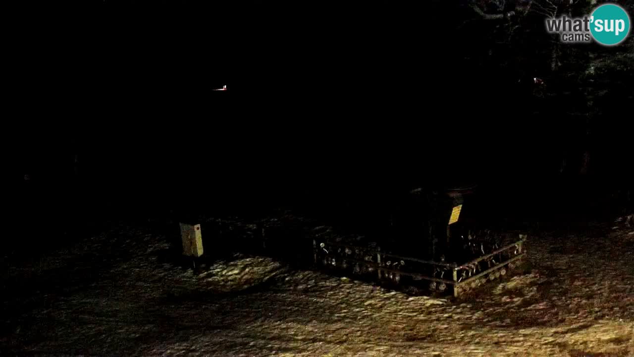 Skijalište Maribor Pohorje web kamera Ruška