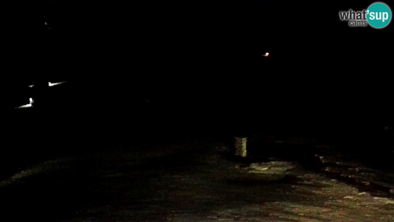 Smučišče Mariborsko Pohorje – spletna kamera Ruška zgoraj