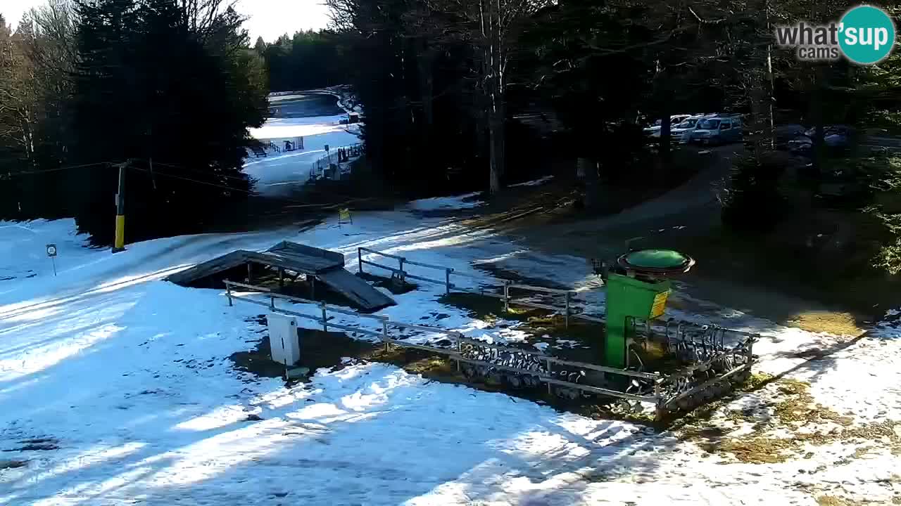 Smučišče Mariborsko Pohorje – spletna kamera Ruška zgoraj