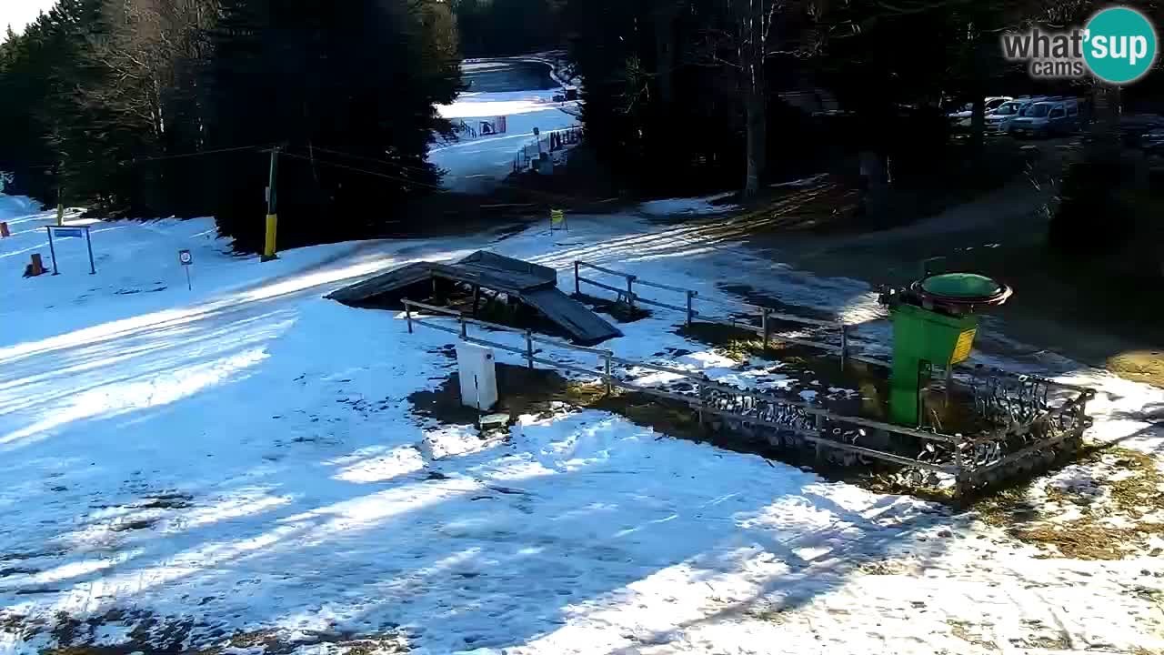 Smučišče Mariborsko Pohorje – spletna kamera Ruška zgoraj