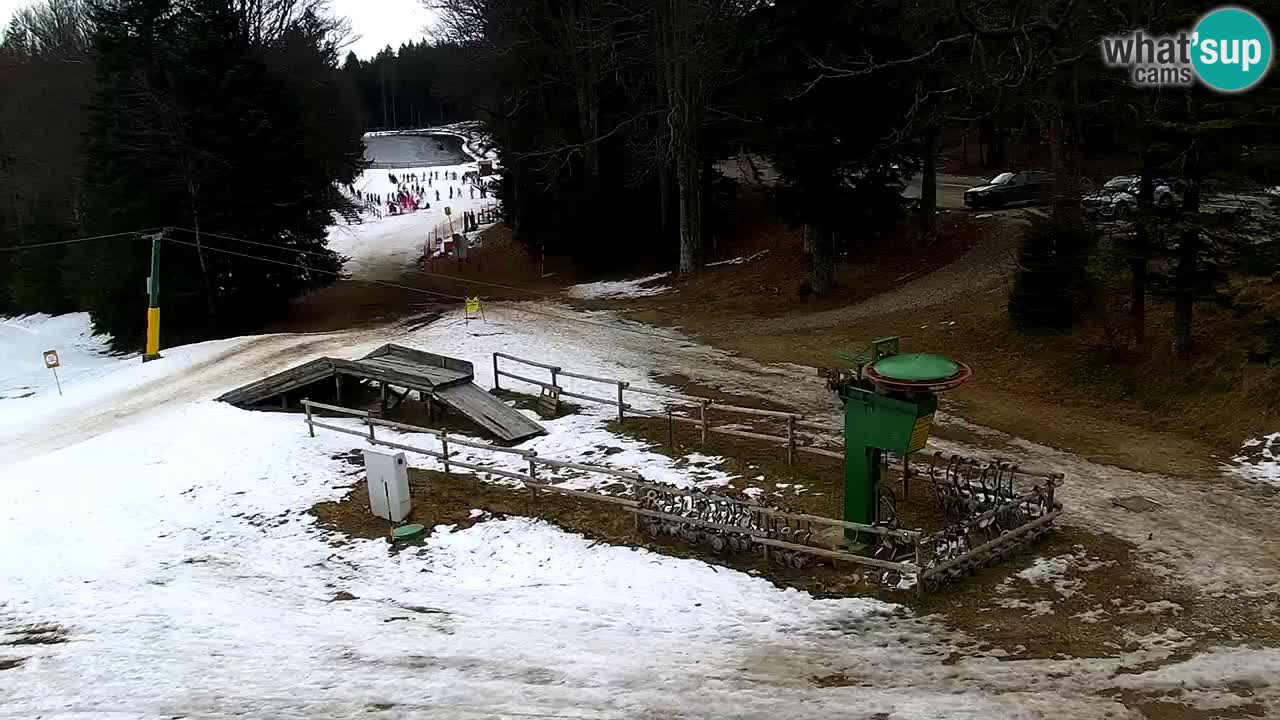 Estaciones de esquí Maribor Pohorje en vivo Ruška