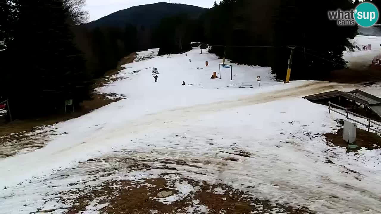 Smučišče Mariborsko Pohorje – spletna kamera Ruška zgoraj