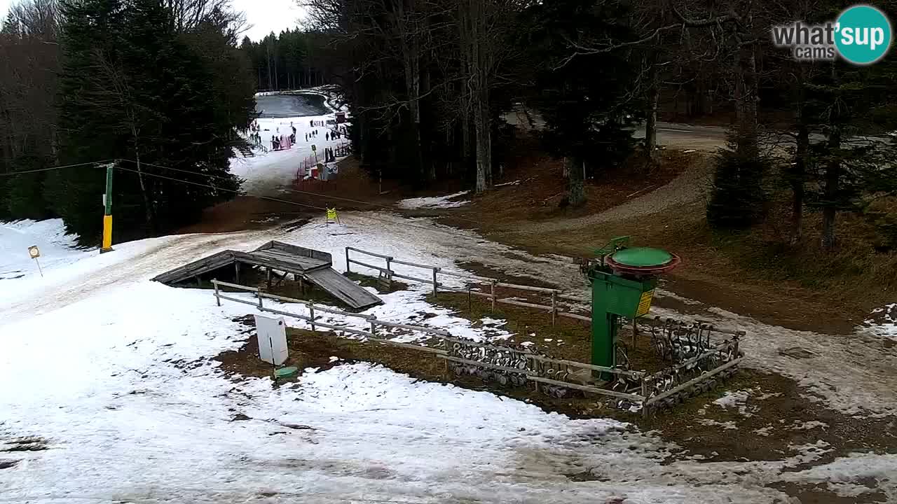 Stations de ski Maribor Pohorje web cam Ruška