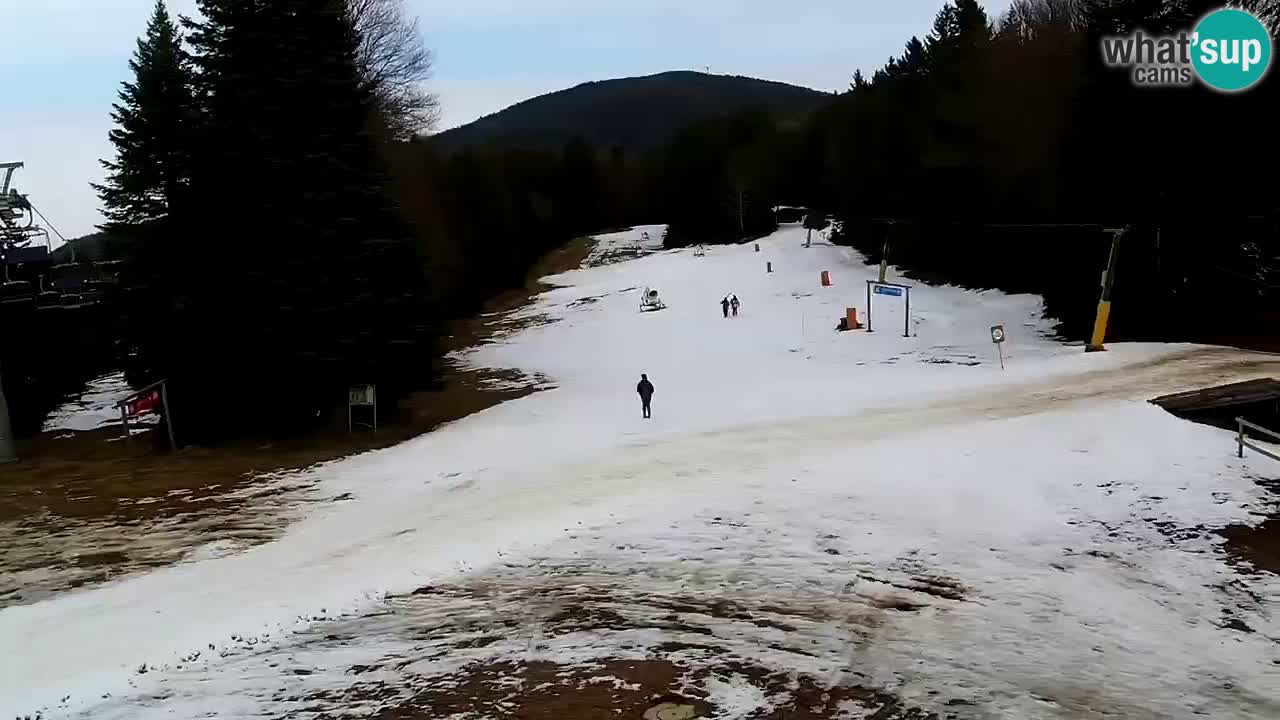 Estaciones de esquí Maribor Pohorje en vivo Ruška