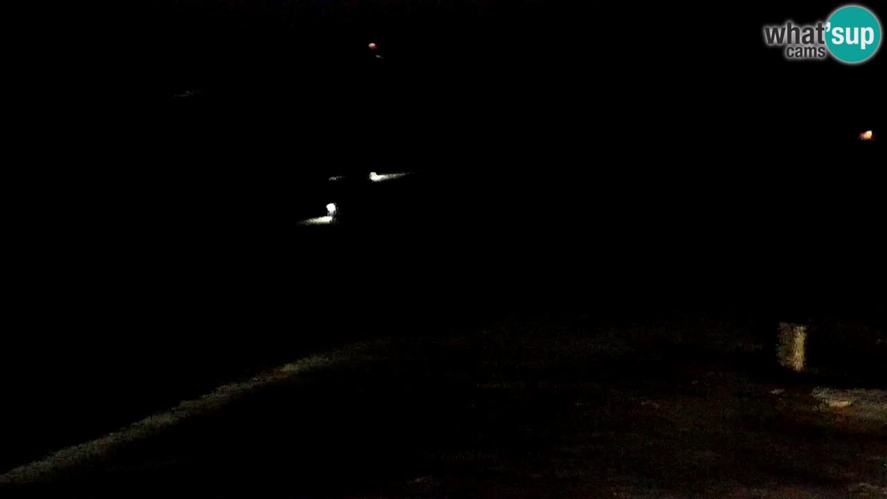 Estaciones de esquí Maribor Pohorje en vivo Ruška