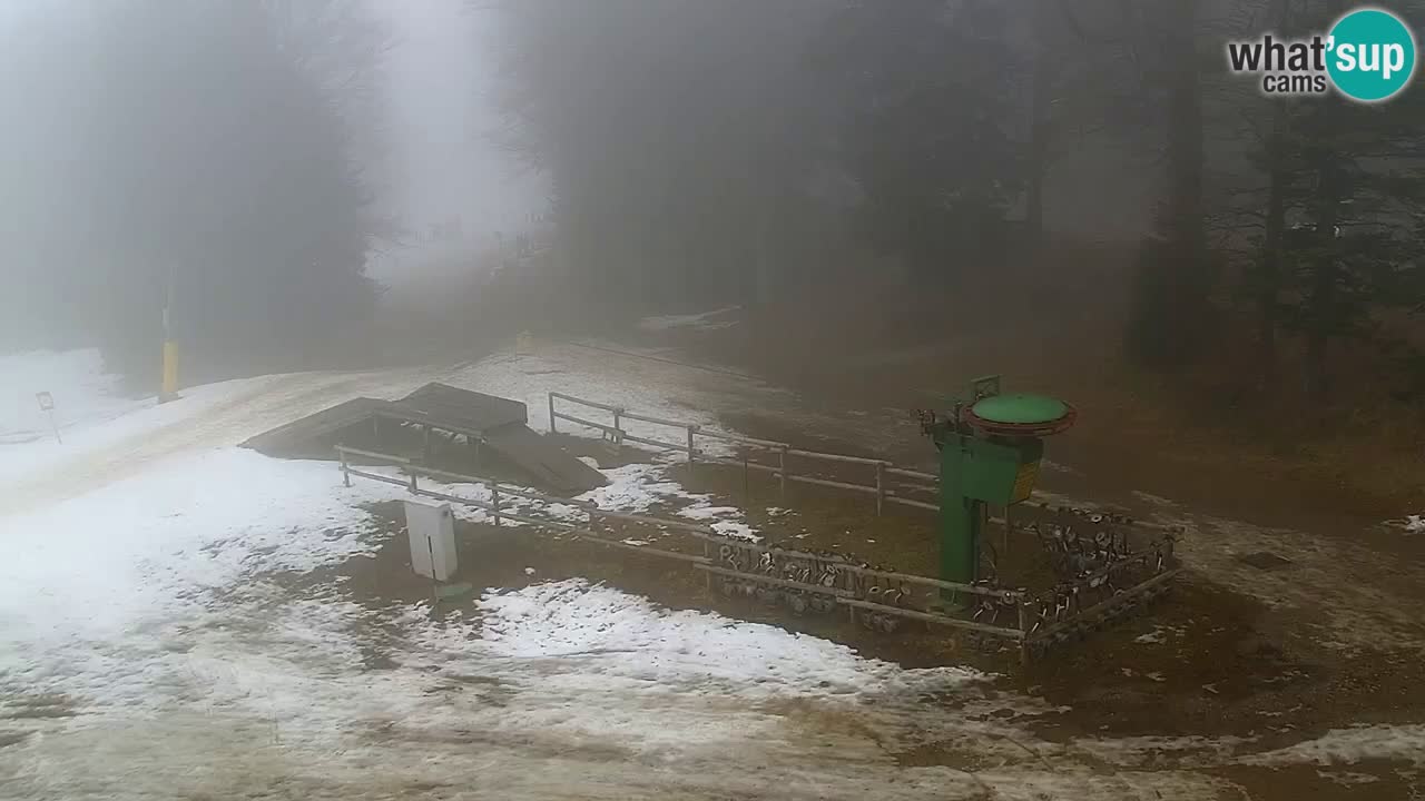 Estaciones de esquí Maribor Pohorje en vivo Ruška