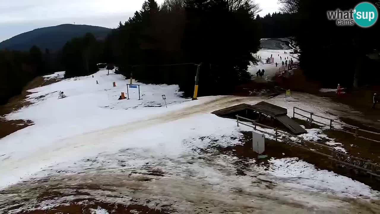 Stations de ski Maribor Pohorje web cam Ruška