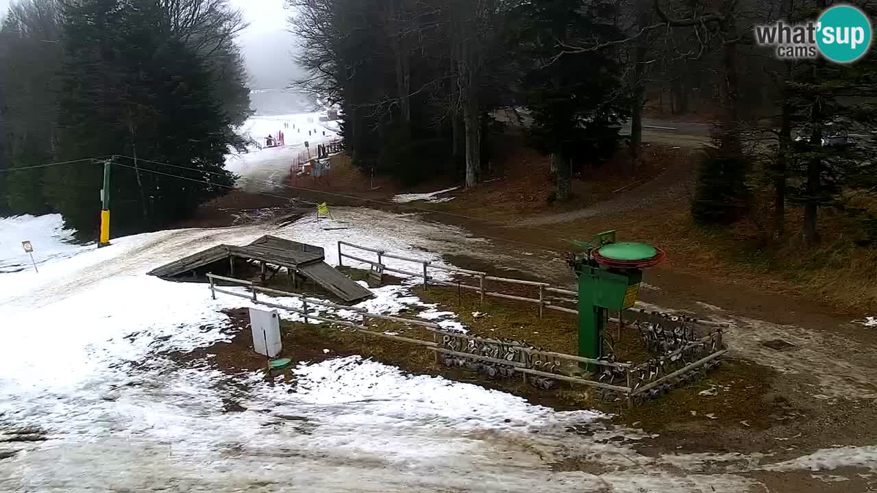 Estaciones de esquí Maribor Pohorje en vivo Ruška