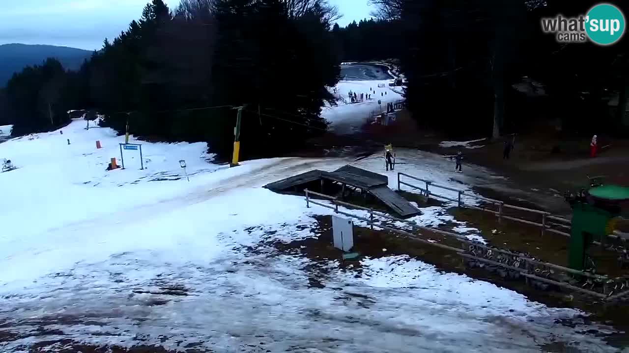 Estaciones de esquí Maribor Pohorje en vivo Ruška