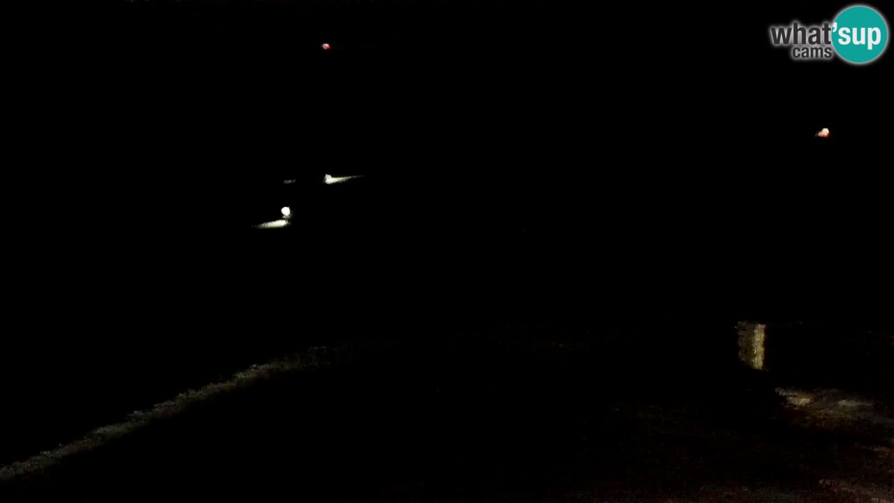 Estaciones de esquí Maribor Pohorje en vivo Ruška