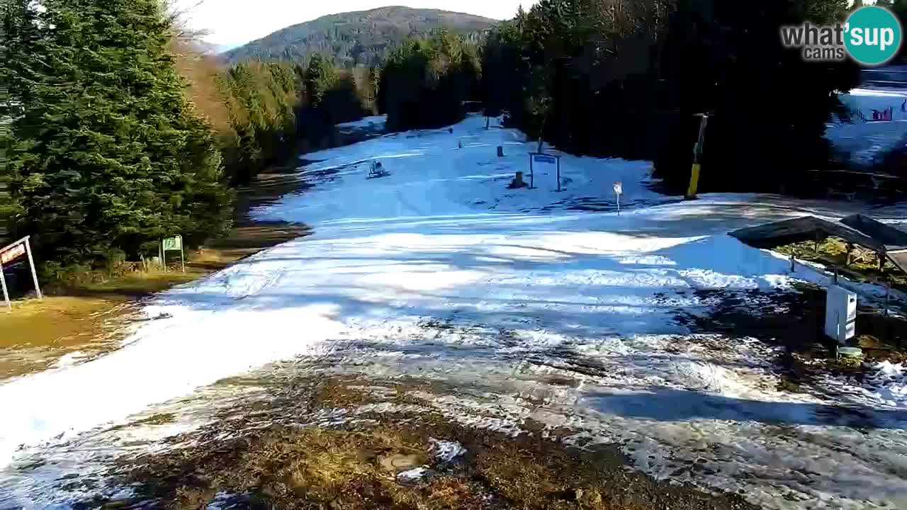 Estaciones de esquí Maribor Pohorje en vivo Ruška