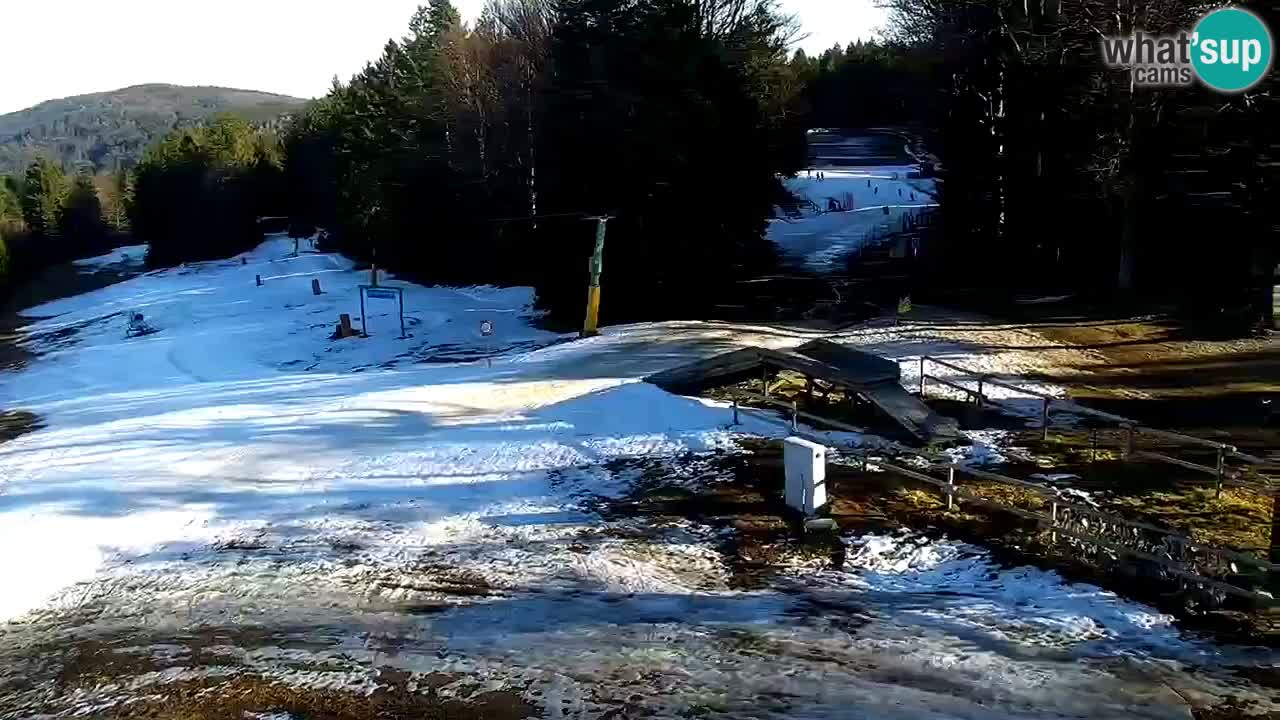 Estaciones de esquí Maribor Pohorje en vivo Ruška