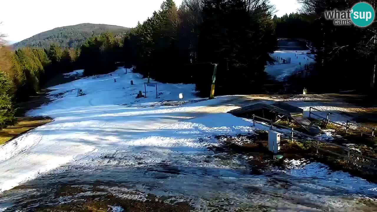 Estaciones de esquí Maribor Pohorje en vivo Ruška