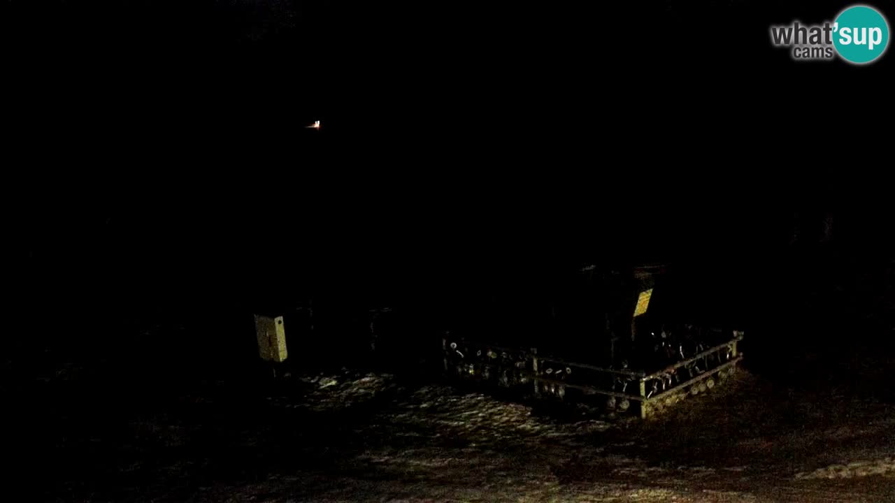 Estaciones de esquí Maribor Pohorje en vivo Ruška