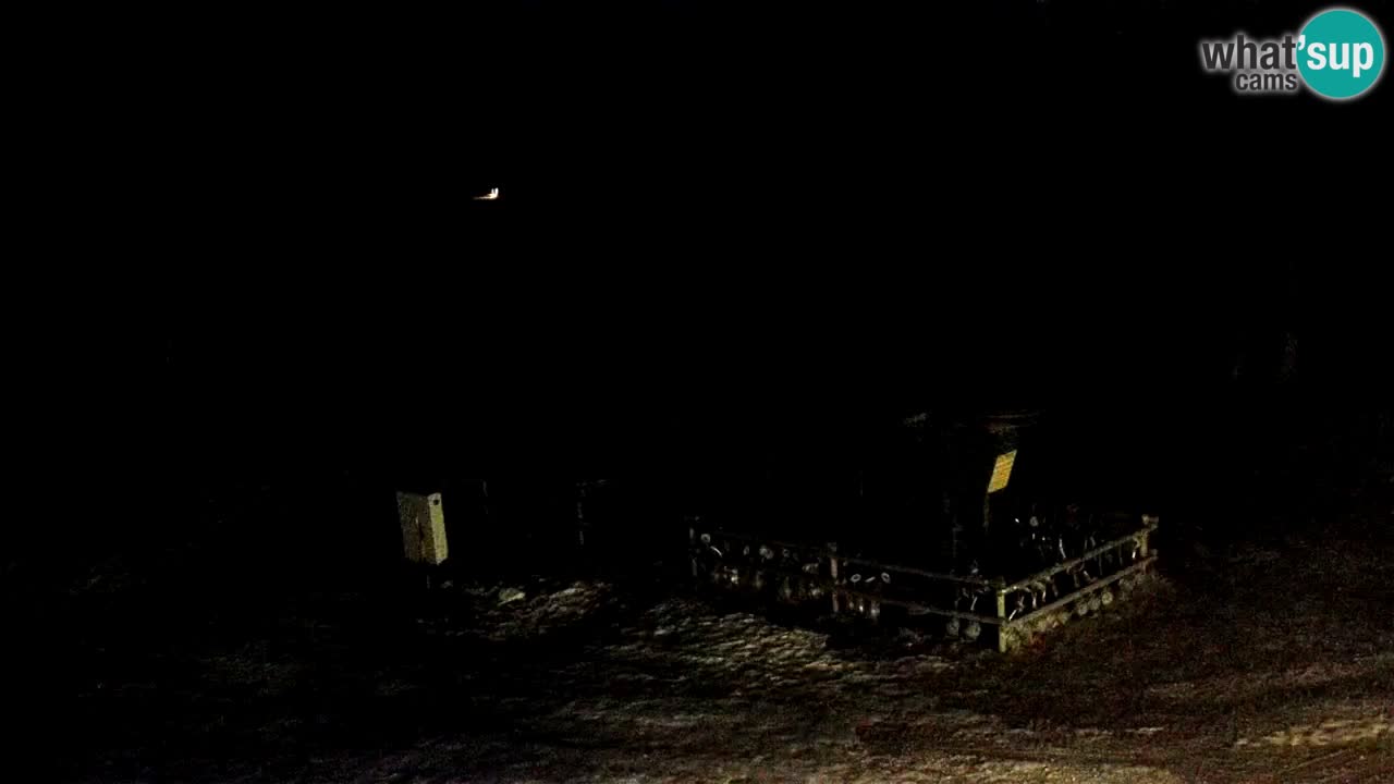 SKI Maribor Pohorje webcam Ruška