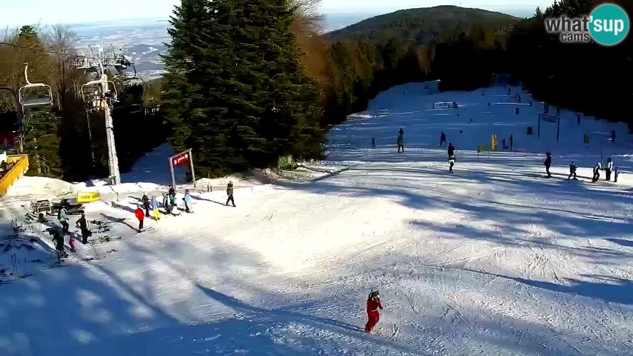 Smučišče Mariborsko Pohorje – spletna kamera Ruška zgoraj