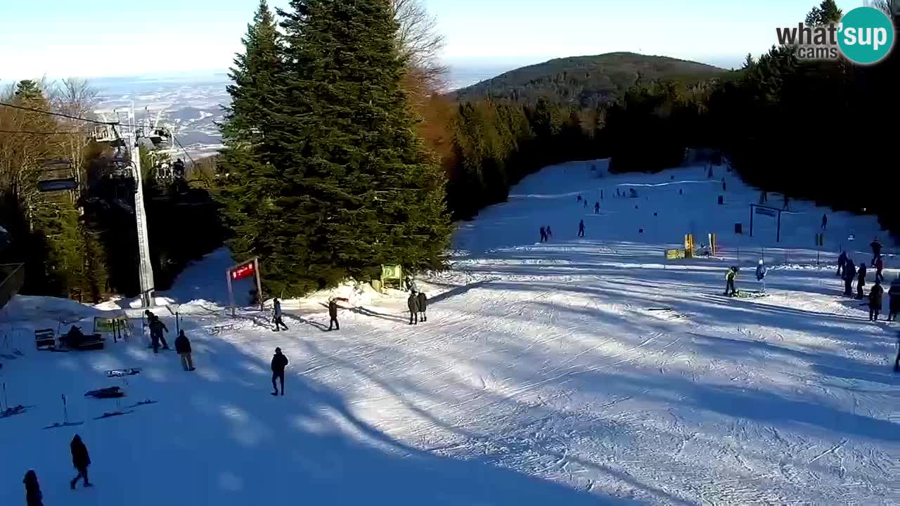 Stations de ski Maribor Pohorje web cam Ruška