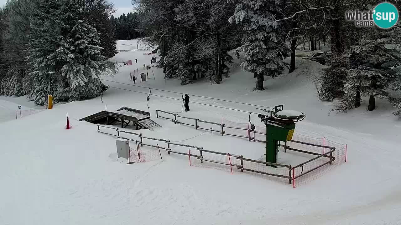 SKI Maribor Pohorje webcam Ruška
