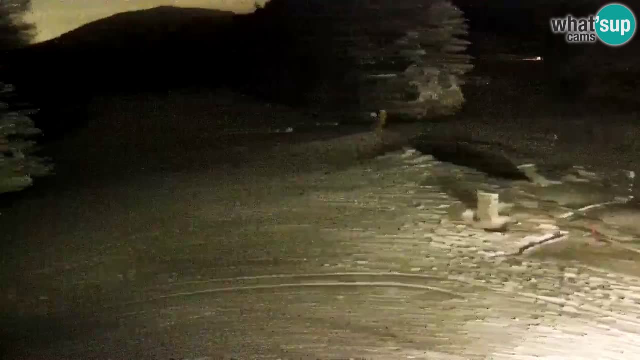 SKI Maribor Pohorje webcam Ruška