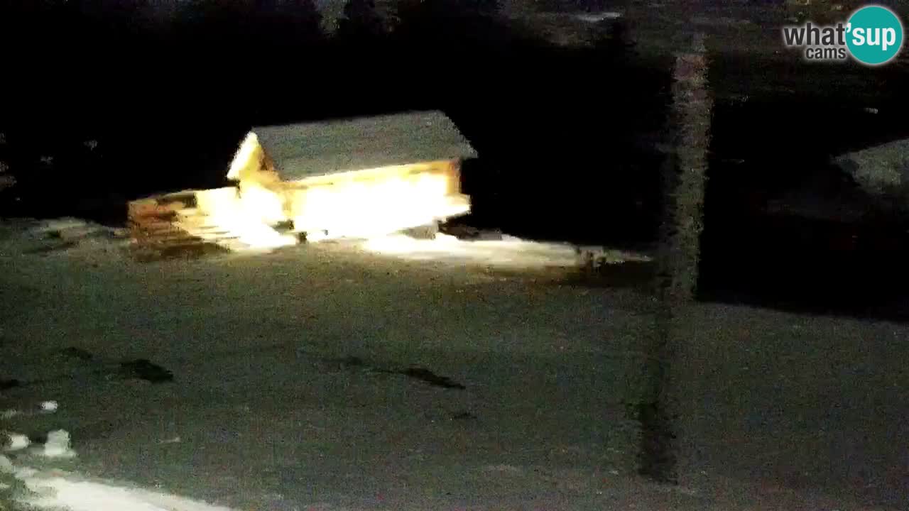 Stations de ski Maribor Pohorje web cam Ruška