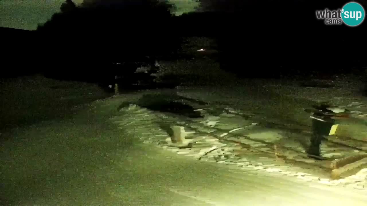 Smučišče Mariborsko Pohorje – spletna kamera Ruška zgoraj