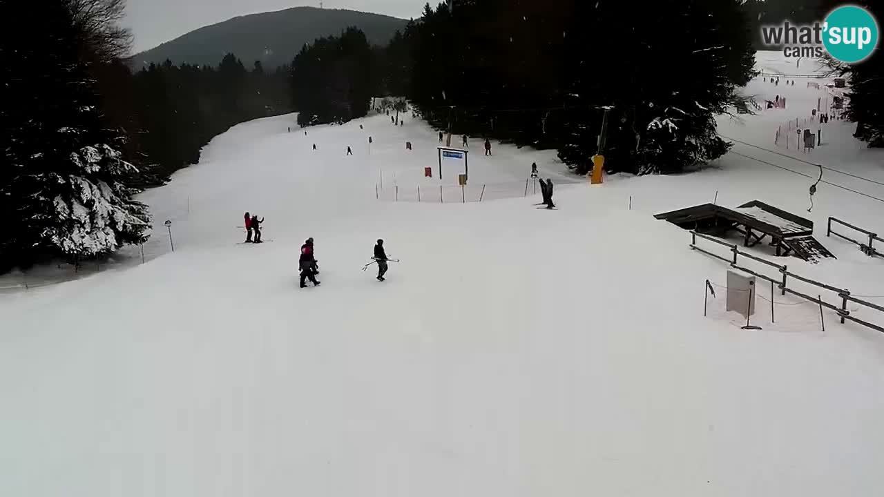 Smučišče Mariborsko Pohorje – spletna kamera Ruška zgoraj