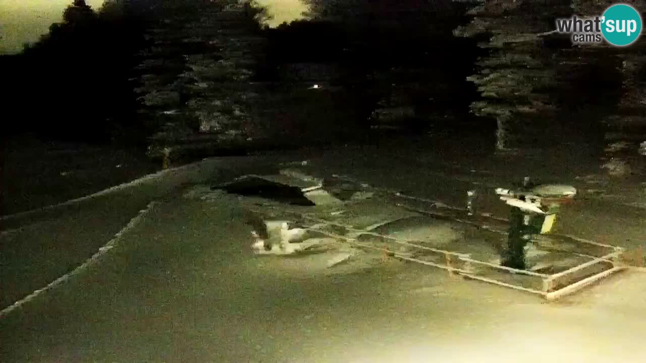 Estaciones de esquí Maribor Pohorje en vivo Ruška