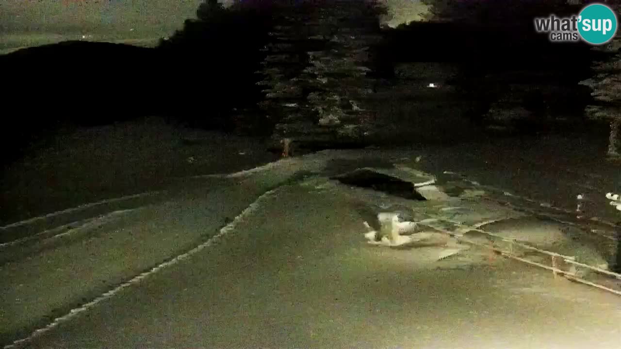 Estaciones de esquí Maribor Pohorje en vivo Ruška