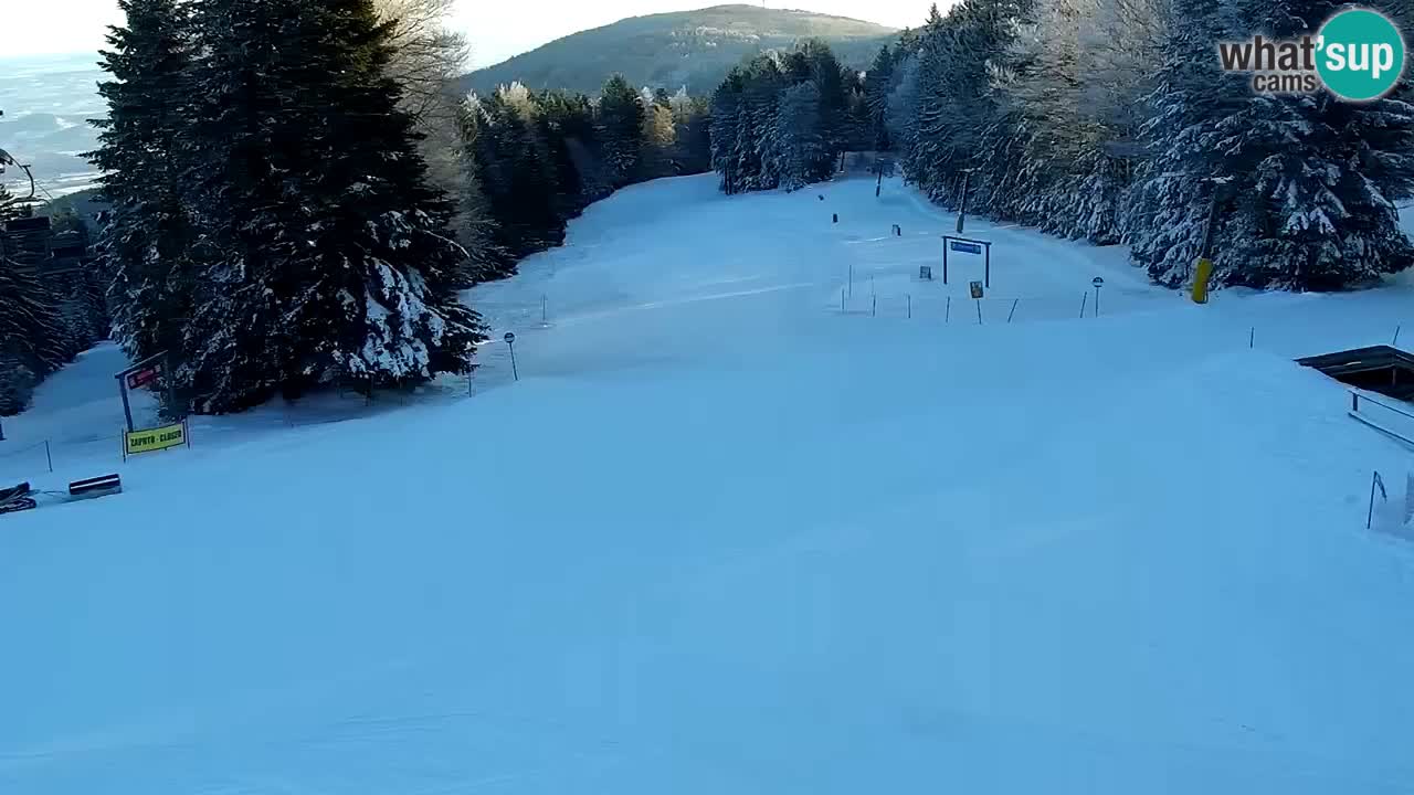 Estaciones de esquí Maribor Pohorje en vivo Ruška