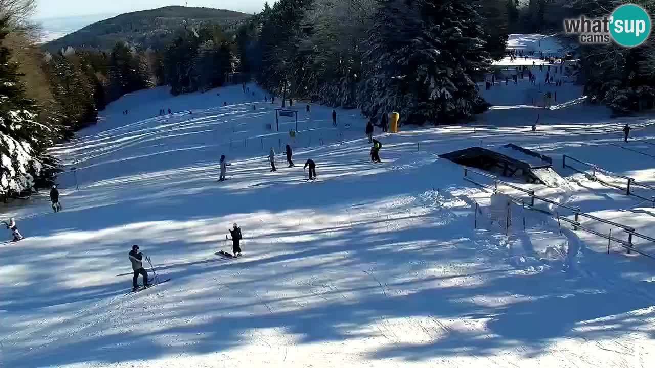 Estaciones de esquí Maribor Pohorje en vivo Ruška