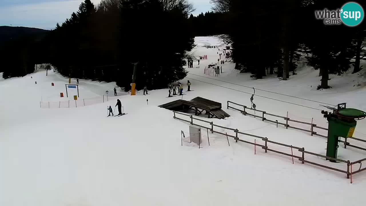 Smučišče Mariborsko Pohorje – spletna kamera Ruška zgoraj
