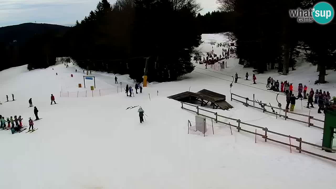 Stations de ski Maribor Pohorje web cam Ruška