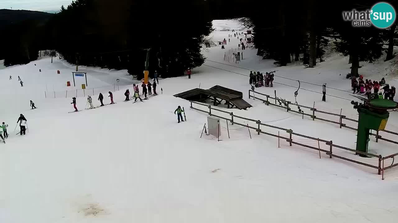 Estaciones de esquí Maribor Pohorje en vivo Ruška