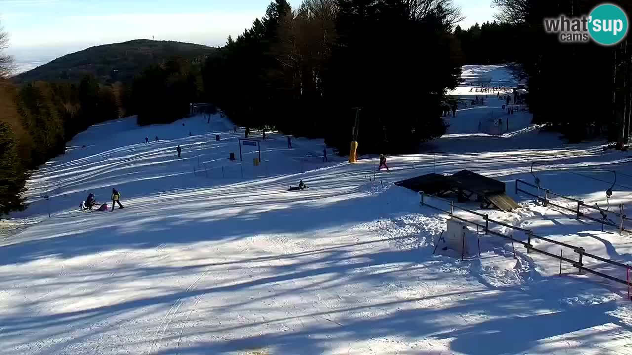 Stations de ski Maribor Pohorje web cam Ruška