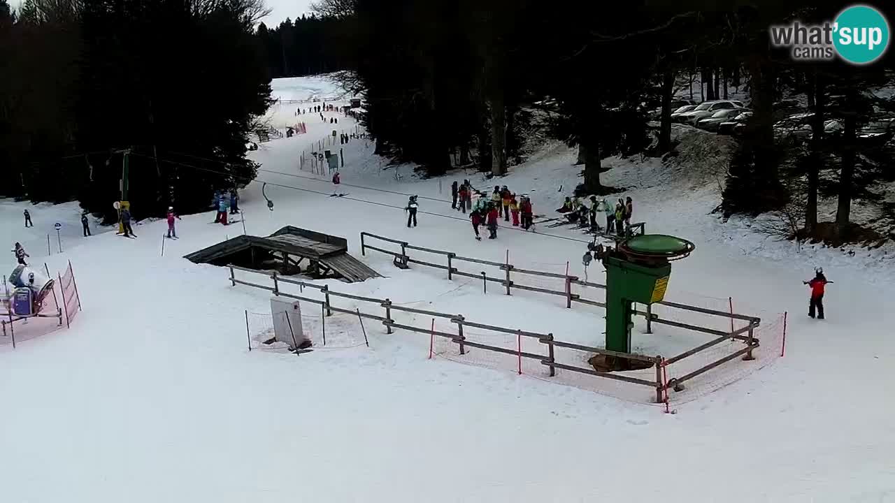 Estaciones de esquí Maribor Pohorje en vivo Ruška