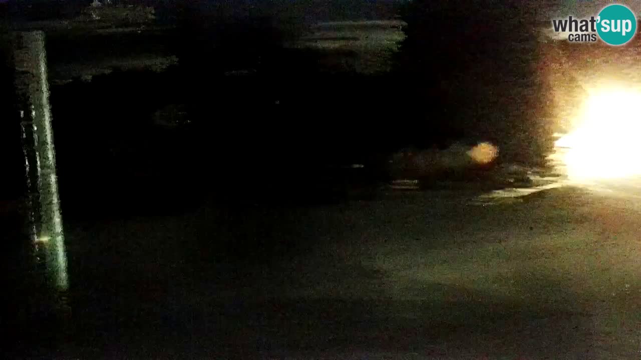 Estaciones de esquí Maribor Pohorje en vivo Ruška